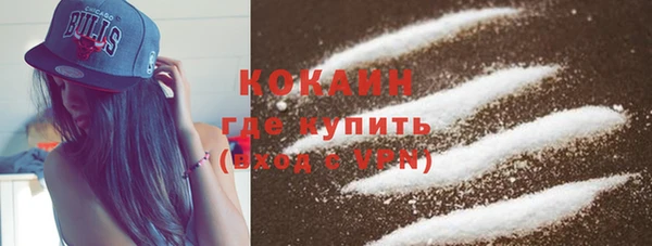 2c-b Каменка