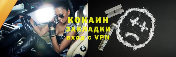 прущие грибы Зеленокумск
