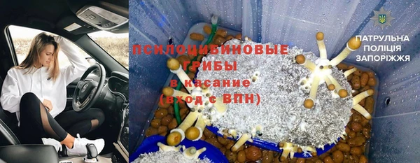 ГАЛЛЮЦИНОГЕННЫЕ ГРИБЫ Каменск-Шахтинский