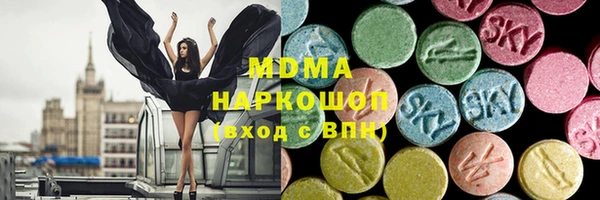 прущие грибы Заводоуковск