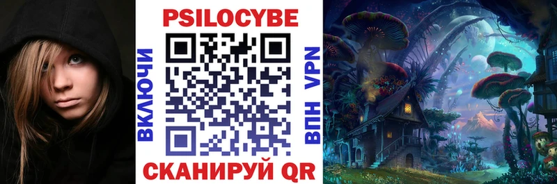 купить  сайты  Лениногорск  mega маркетплейс  Псилоцибиновые грибы Psilocybe 