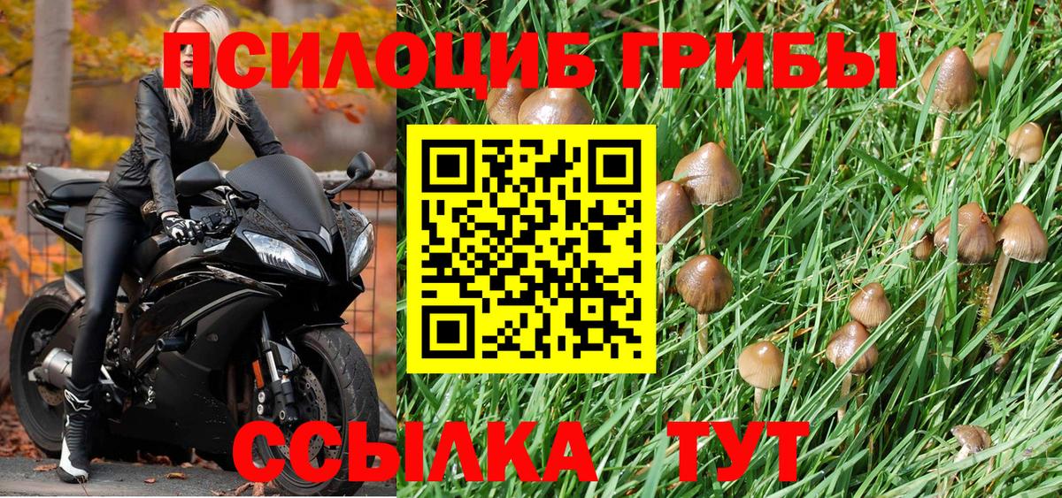 Псилоцибиновые грибы прущие грибы Лениногорск