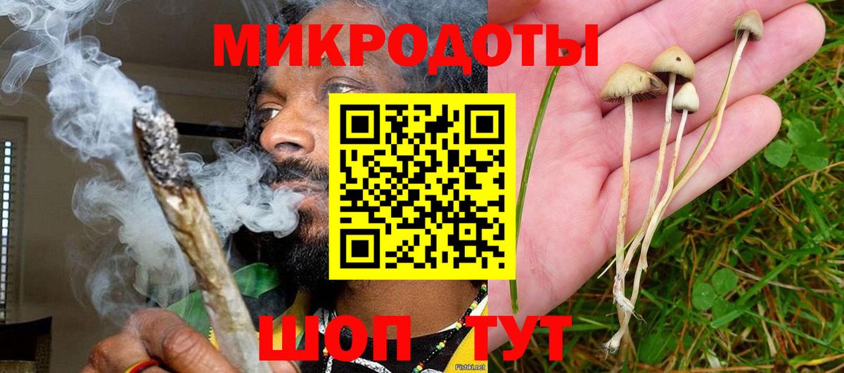 Лениногорск  Галлюциногенные грибы Cubensis  Вход с VPN 